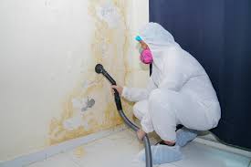 Best Forensic Mold Investigation  in Fyffe, AL